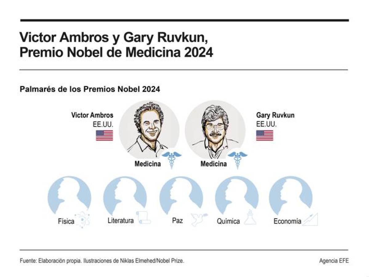 Nobel 2024: reconocen a los estadounidenses Victor Ambros y Gary Ruvkun por descubrir el micro-ARN