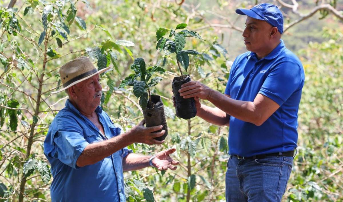 BCIE fortalece la resiliencia climática de mipymes cafetaleras en El Salvador