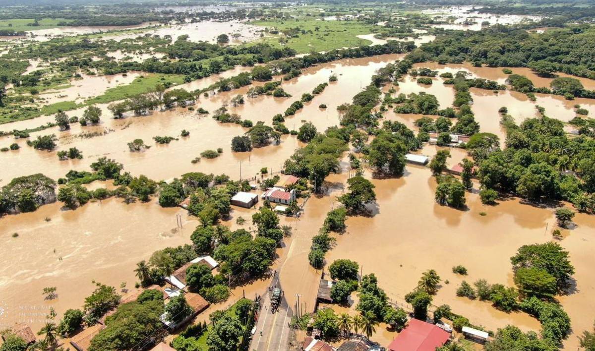 FAO: La Niña es 'inminente' amenaza para la seguridad alimentaria mundial