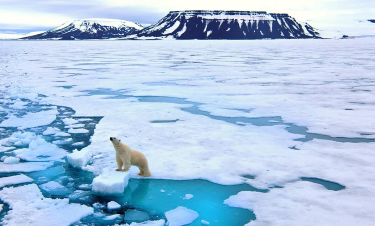 ¿Cómo se formó la glaciación de la Antártida?