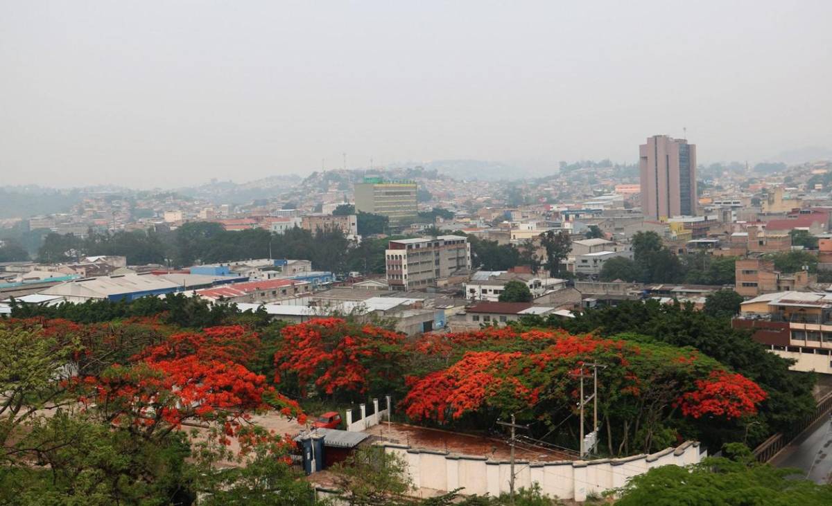 Prevén que desaparezca capa de humo de Honduras a mediados de junio