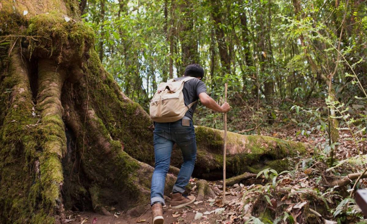 Tres destinos de Centroamérica ideales para practicar ecoturismo