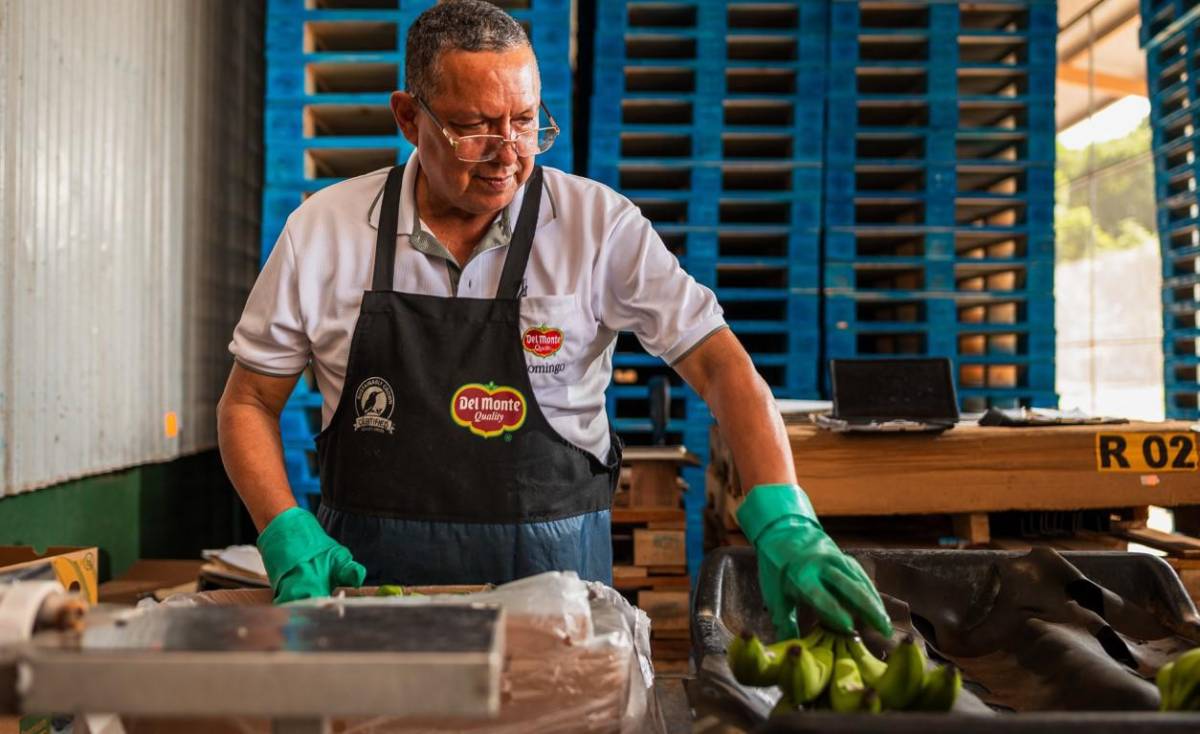 Fresh Del Monte, el empleador privado más grande de Costa Rica, es reconocido por revista Newsweek