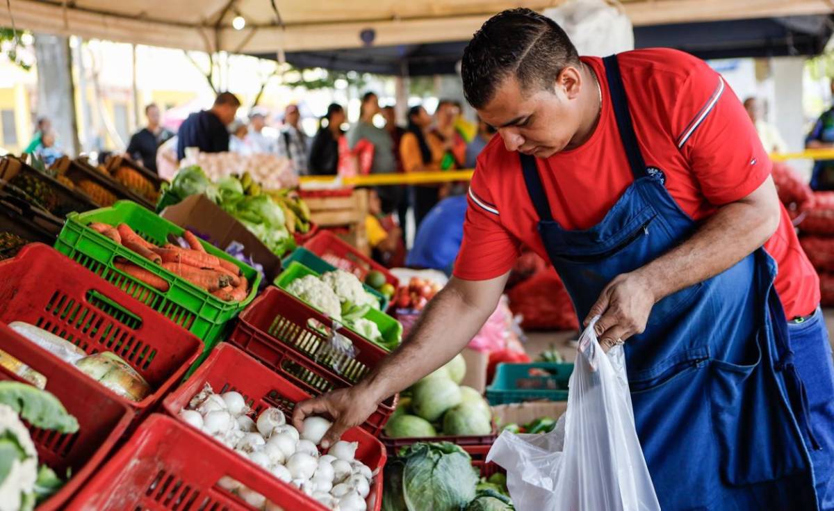 FAO: Los precios de los alimentos disminuyeron ligeramente en agosto