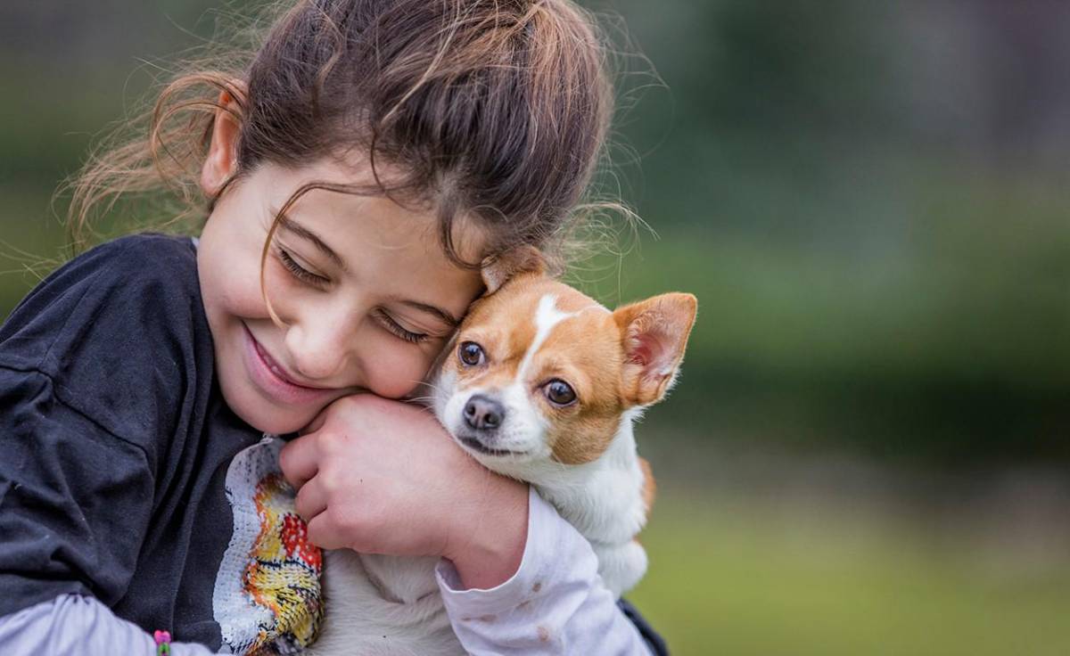 ¿Cuáles son las enfermedades más comunes transmitidas por mascotas y cómo evitarlas?