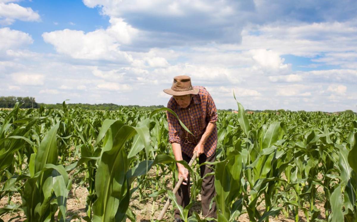 Otorgan financiamiento por US$316.000 a mipymes agrícolas de El Salvador