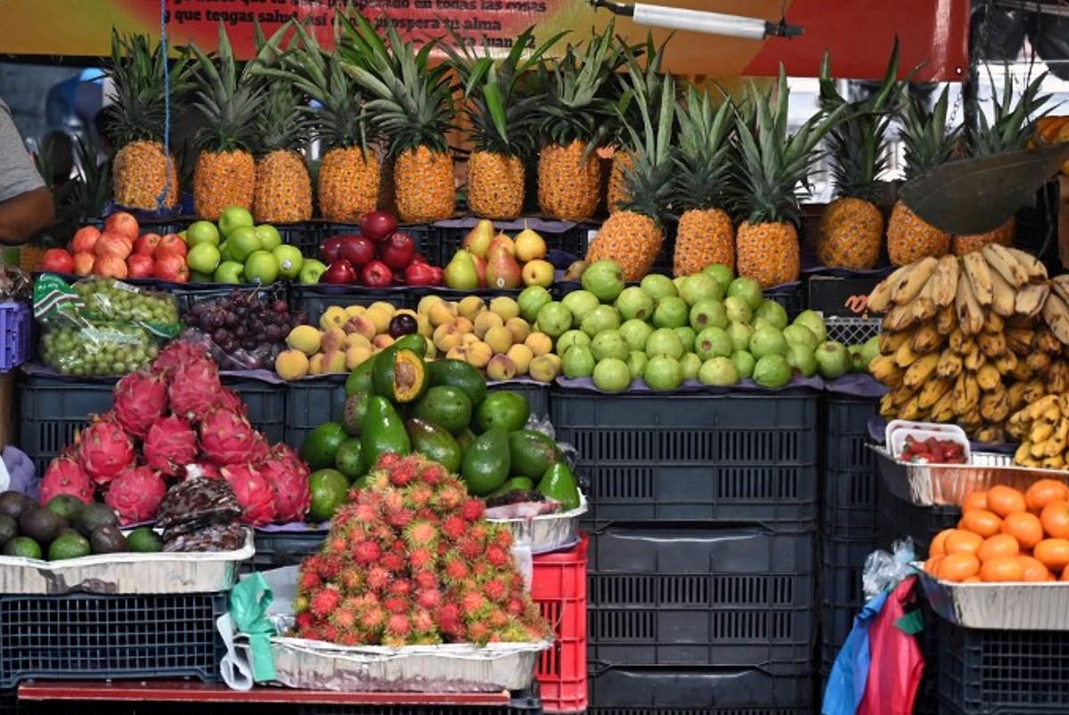 Buscan conectar a productores de cordillera El Bálsamo con economías en expansión de la costa salvadoreña