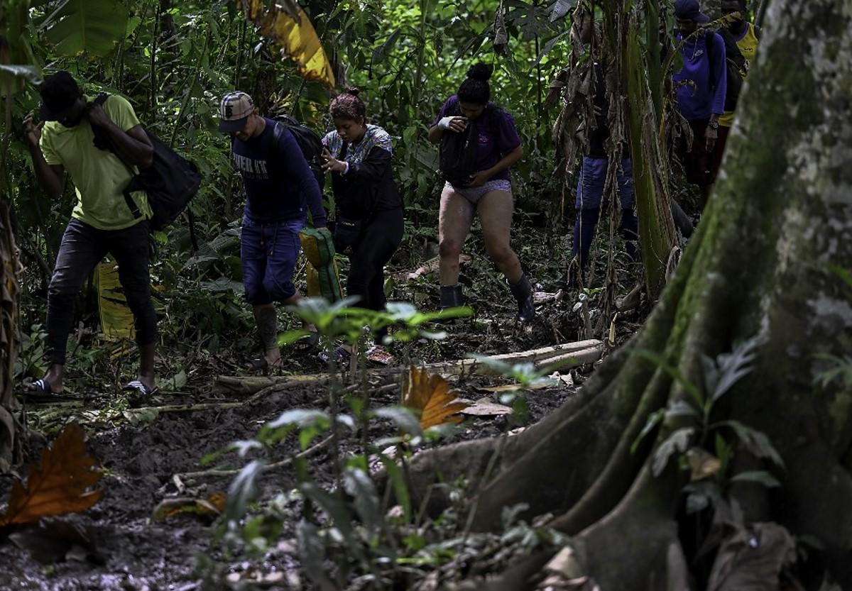 ¡A limpiar! El plan de Panamá para la Selva del Darién