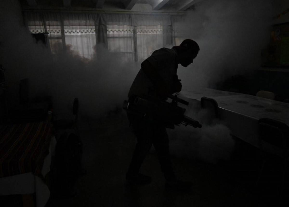 Honduras: la vacuna contra el dengue llegaría en septiembre