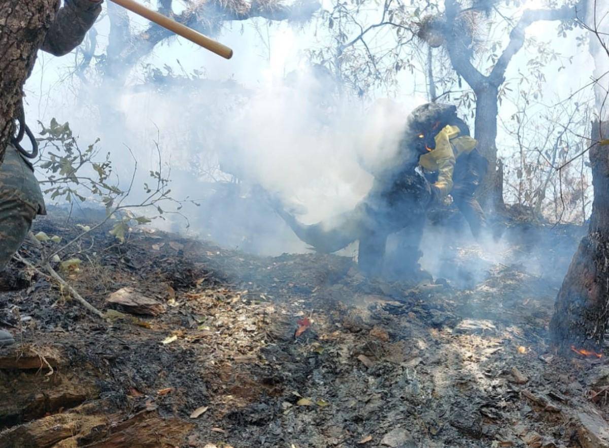 Guatemala combate incendios forestales con ayuda de la ONU