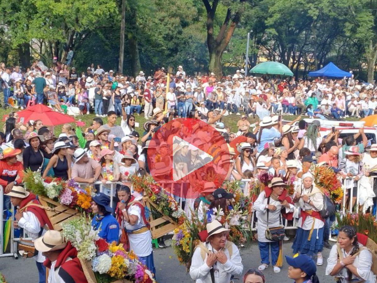 Medellín se llena de flores