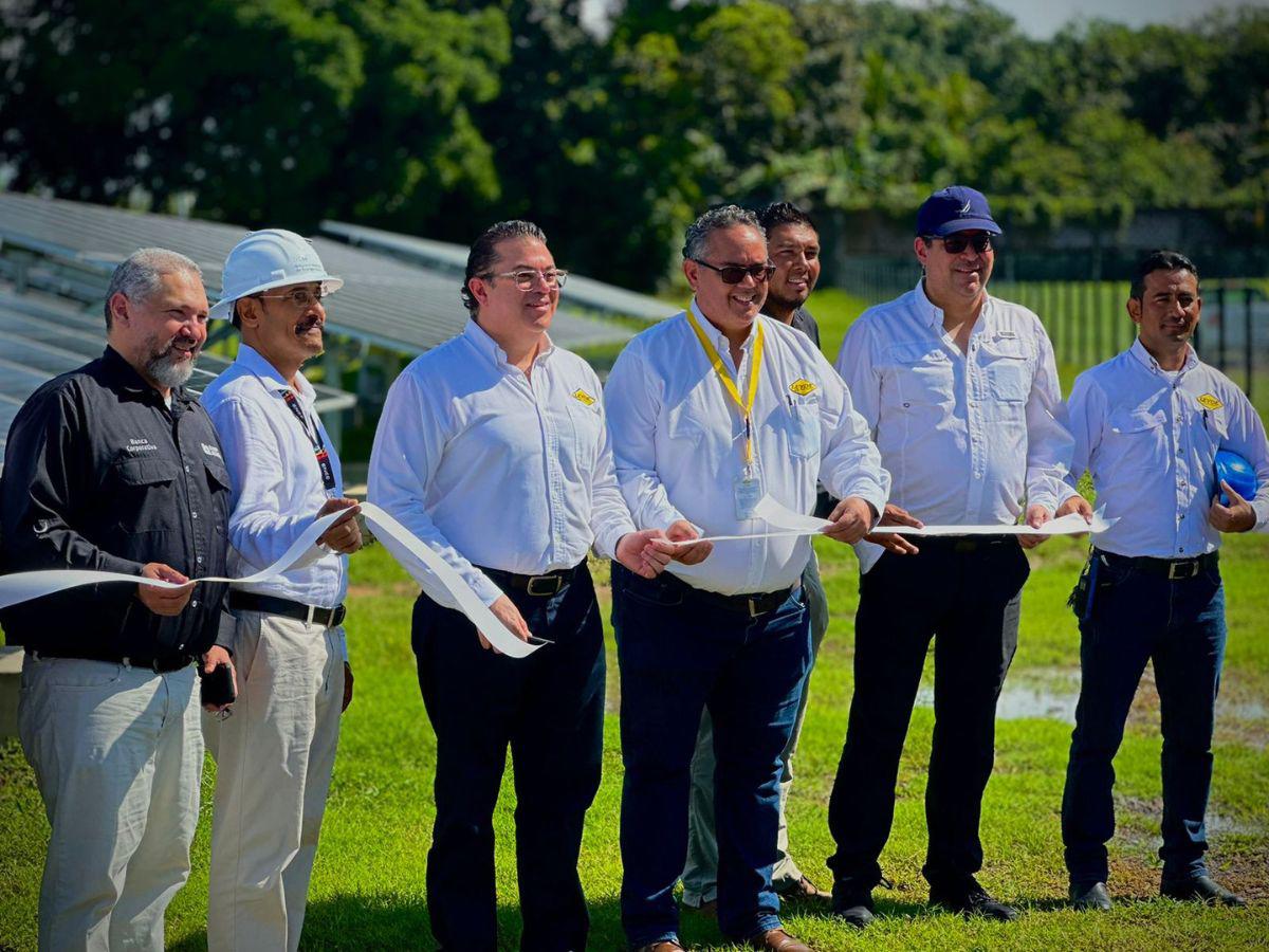 LEYDE: Legado de calidad, compromiso e innovación constante