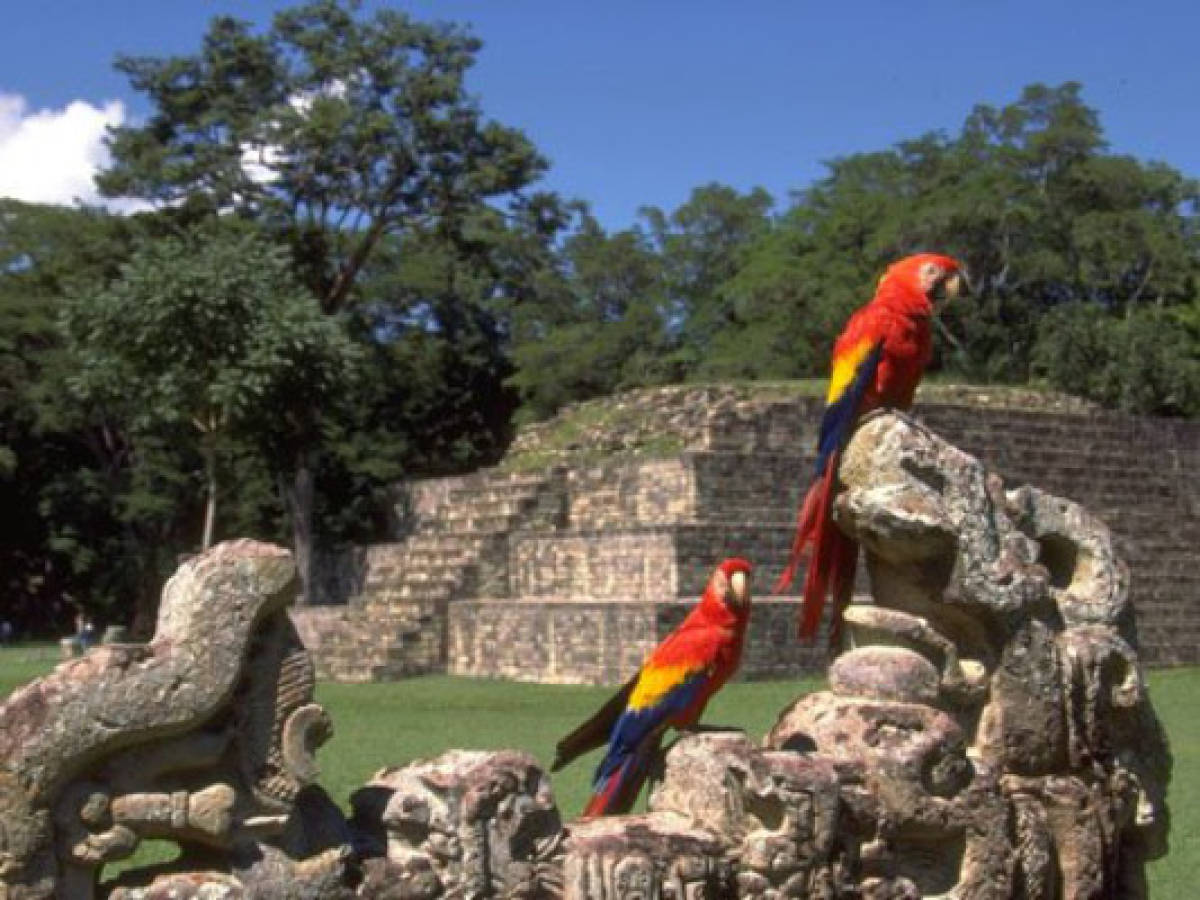 Honduras: Copán espera 300.000 turistas en 2012