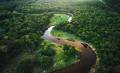 El Amazonas, la selva tropical más grande del mundo, es vital para frenar el cambio climático. Foto de FG Trade / Getty Images