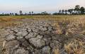 El Corredor Seco Centroamericano es particularmente vulnerable a los impactos del cambio climático. Foto de iStock