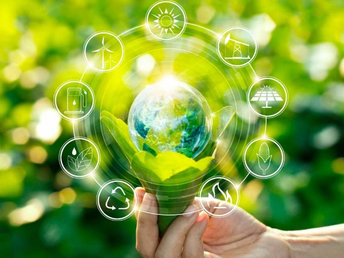 Premio Zayed otorgará US$1 millón a soluciones innovadoras enfocadas en Sostenibilidad