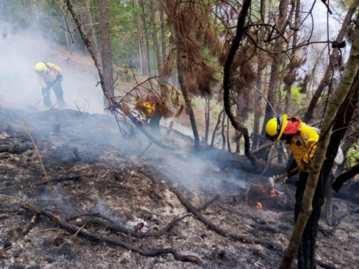 Guatemala: Incendios consumen casi 9.000 hectáreas de bosques