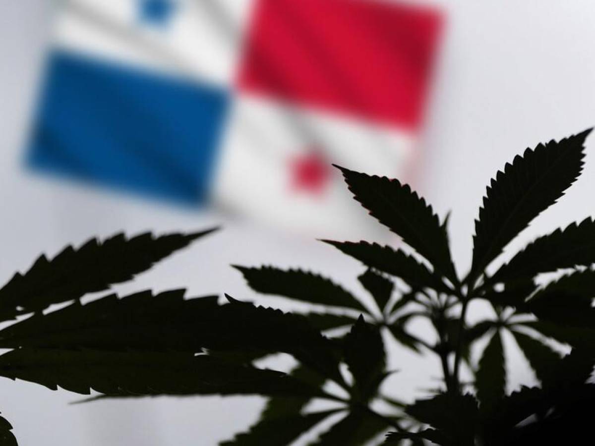 Panamá podrá importar medicamentos a base de cannabis