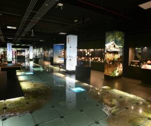 Museo del Jade del INS: 47 años preservando el legado cultural de Costa Rica