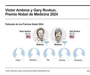 <i>El Nobel de Medicina o Fisiología ha reconocido este lunes a los estadounidenses Victor Ambros y Gary Ruvkun por descubrir el micro-ARN. FOTO EFE</i>