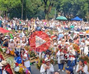 <i>Foto que muestra el Desfile de Silleteros, donde los participantes, conocidos como 'silleteros', cargan grandes arreglos florales en la espalda, llamados 'silletas'. FOTO JOSÉ A. BARRERA / E&amp;N</i>