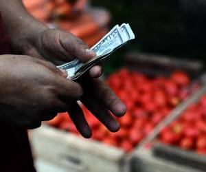 <i>Un vendedor de verduras cuenta billetes de dólares estadounidenses en un punto mayorista impulsado por el gobierno para beneficiar a los pequeños y medianos compradores en el municipio de Apopa, El Salvador, el 9 de julio de 2024. FOTO Marvin RECINOS/AFP</i>