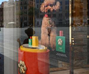 <i>Los transeúntes se reflejan en el escaparate de una boutique de la casa de moda de lujo Dolce &amp; Gabbana que exhibe su nuevo perfume para perros llamado 'Fefé' en el centro de Roma, el 8 de agosto de 2024. FOTO Alberto PIZZOLI / AFP</i>