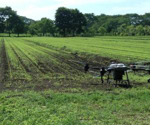 <i>Un drone agrícola modelo DJI Agras T50 en una de las áreas agrícolas de la Universidad Nacional de Agricultura (Unag), ubicada en Catacamas, Olancho. Este dispositivo tiene capacidad para transportar 40 kilogramos de carga. Foto : Cortesía de Unag</i>