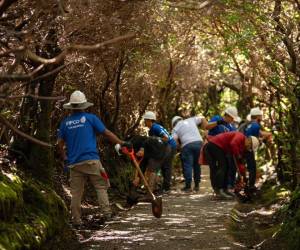 <i>Entre las 152 ASP que administra el Sistema Nacional de Áreas de Conservación (SINAC), destacan los 30 parques nacionales creados hasta la fecha. </i>