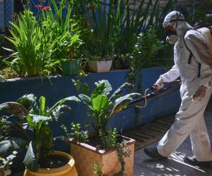 <i>De los 18 departamentos del país, los más afectados son Cortés, Atlántida y Colón, en el Caribe; Yoro, norte, y Santa Bárbara, oeste, según las autoridades sanitarias. FOTO Andre Borges / (EPA) EFE</i>