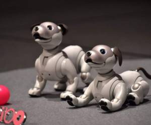 Sony regresa a la industria de juguetes con una nueva versión de Aibo. El nuevo juguete fue presentado hoy en Tokio.