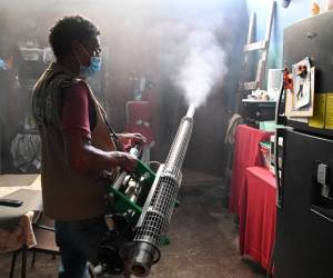 <i>Un empleado de la Secretaría de Salud rocía una casa durante una operación de fumigación dentro de una emergencia nacional para combatir el mosquito Aedes Aegypti, vector del dengue. FOTO Orlando SIERRA/AFP</i>