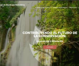 Abren convocatoria 2024 para proyectos de conservación de bosques