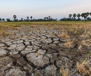 El Corredor Seco Centroamericano es particularmente vulnerable a los impactos del cambio climático. Foto de iStock