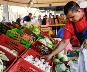 La carne también bajó de precio, un 0,7 %, mientras que los productos lácteos aumentaron un 2,2 %. Foto de archivo