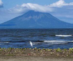 Ometepe, que en lengua indígena significa cerros gemelos, es conocida localmente como la tierra prometida y el oasis de paz. Foto de EFE