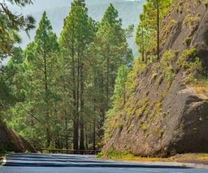 Internet de las Cosas ayudará a prevenir derrumbes en carreteras de Costa Rica