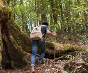 Centroamérica ofrece una variedad de destinos para los viajeros interesados en experiencias naturales. Foto cortesía