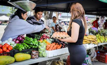 Esta alza en la inflación, principalmente en los alimentos, se ha dado a pesar de las medidas implementadas por el Gobierno. Foto de E&amp;N