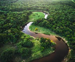 El Amazonas, la selva tropical más grande del mundo, es vital para frenar el cambio climático. Foto de FG Trade / Getty Images