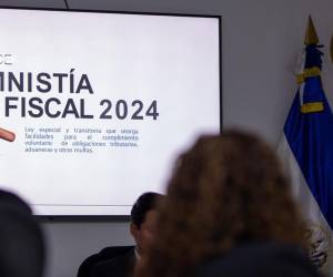 Para la amnistía fiscal de 2023 se recaudaron US$100 millones, en su mayoría de pequeños contribuyentes. Foto de Asamblea Legislativa