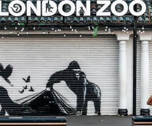 Banksy 'libera' animales del zoológico de Londres en serie de obras