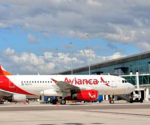 Grupo Avianca comprende además a Avianca Cargo y la participación en LifeMiles. Foto de archivo