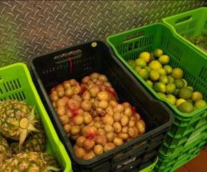 En las operaciones de Walmart se generan residuos orgánicos derivados de procesos de producción. Foto cortesía