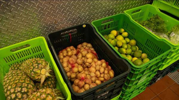 En las operaciones de Walmart se generan residuos orgánicos derivados de procesos de producción. Foto cortesía