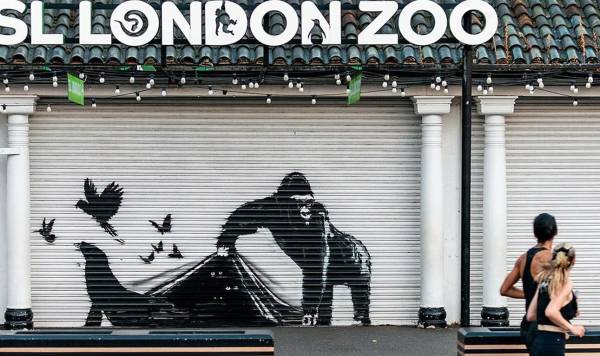 Banksy 'libera' animales del zoológico de Londres en serie de obras