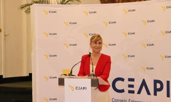<i>En foto, la presidenta de CEAPI, Núria Vilanova, durante una conferencia de prensa. FOTO CEAPI/E&amp;N</i>