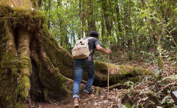 Centroamérica ofrece una variedad de destinos para los viajeros interesados en experiencias naturales. Foto cortesía