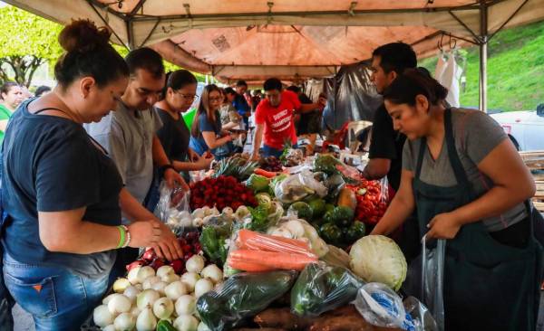 El 76. 94 % de los salvadoreños que participaron en el estudio compran sus alimentos en el mercado. Foto tomada de cuenta de X de Ministerio de Agricultura
