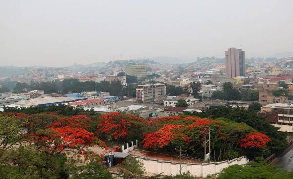 Prevén que desaparezca capa de humo de Honduras a mediados de junio